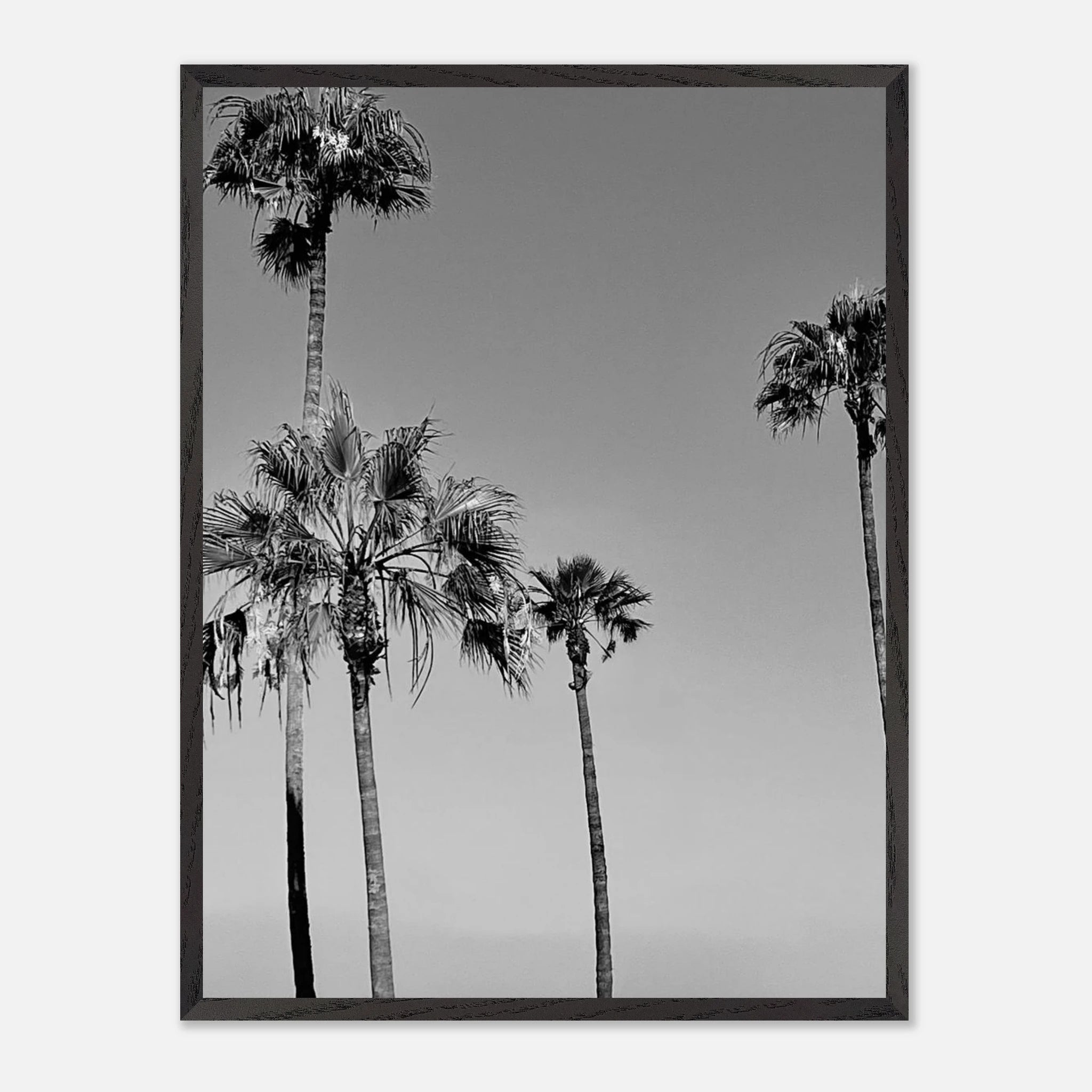 Black and white California beach icons poster in a premium wooden frame, part of the Studio Edition Holiday 25 series.