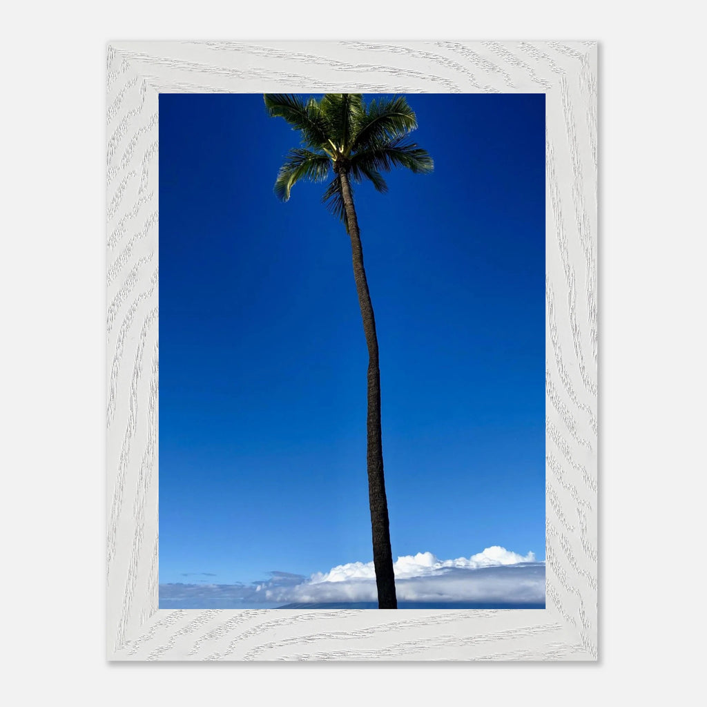 Hawaii Majestic Palm Tree Maui framed poster by CaliCuration from the Travel Collection Studio Edition Spring '26, featuring tropical scenery.