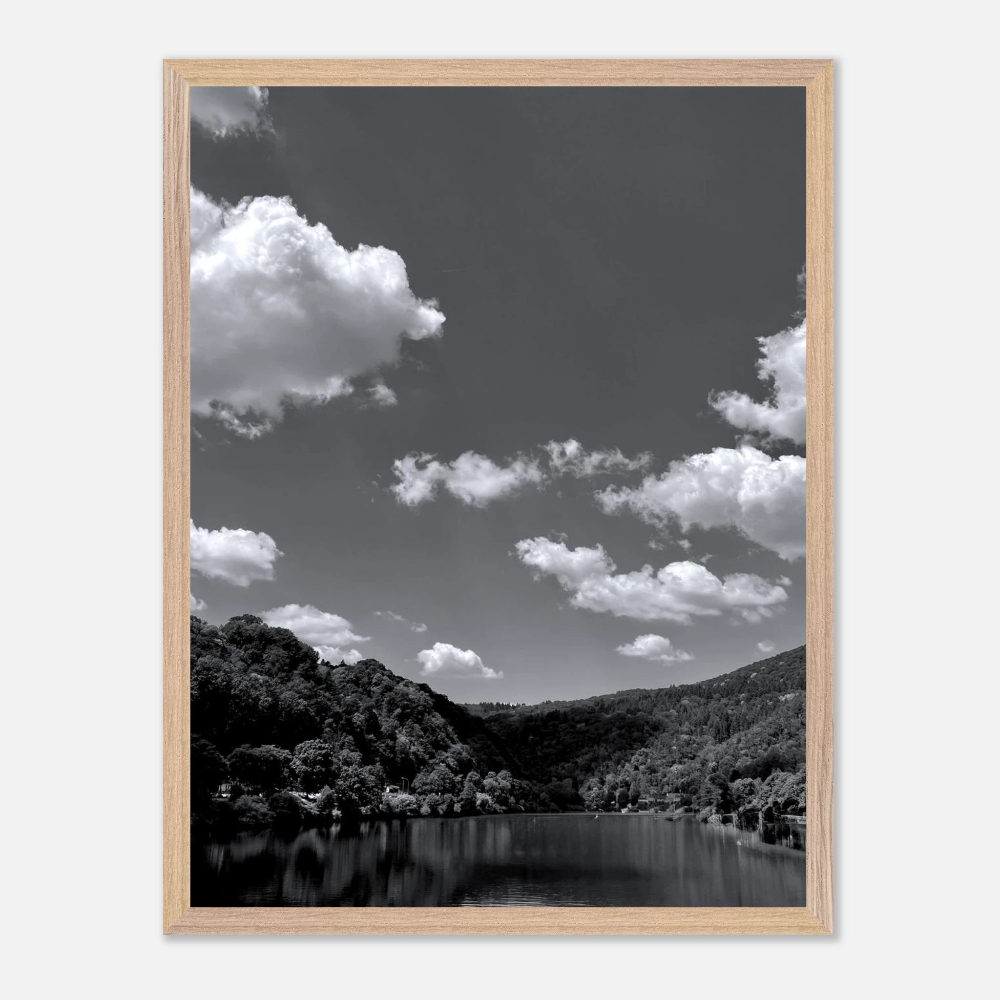 e8d5d806-b6cc-4aab-9898-8b6b514101fa