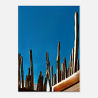 Mexico cactus family rooftop canvas artwork print from the Travel Collection, showcasing vibrant desert plants in a colorful scene.