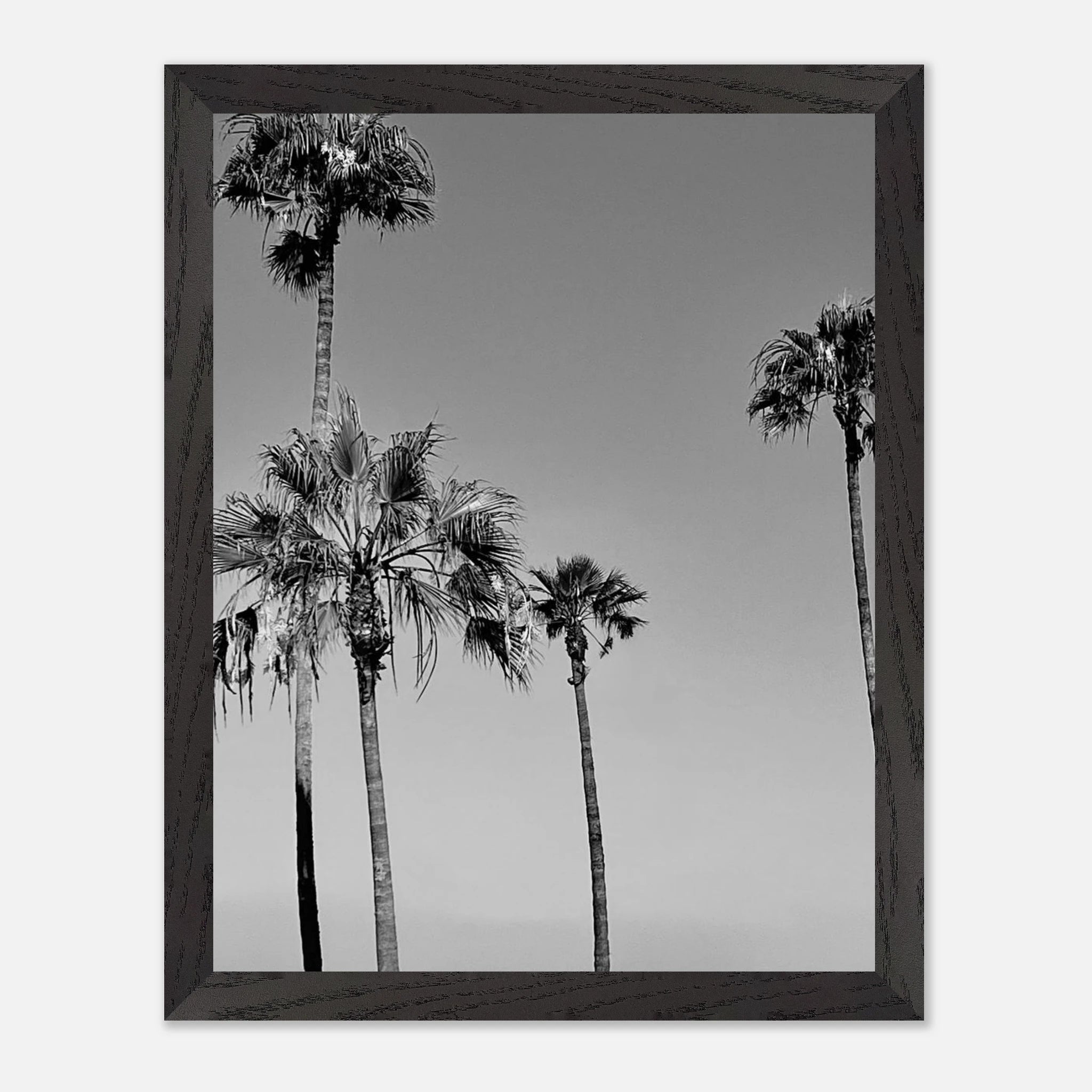 Premium wooden framed black and white poster of SoCal beach icons, part of the Studio Edition Holiday 25 series.
