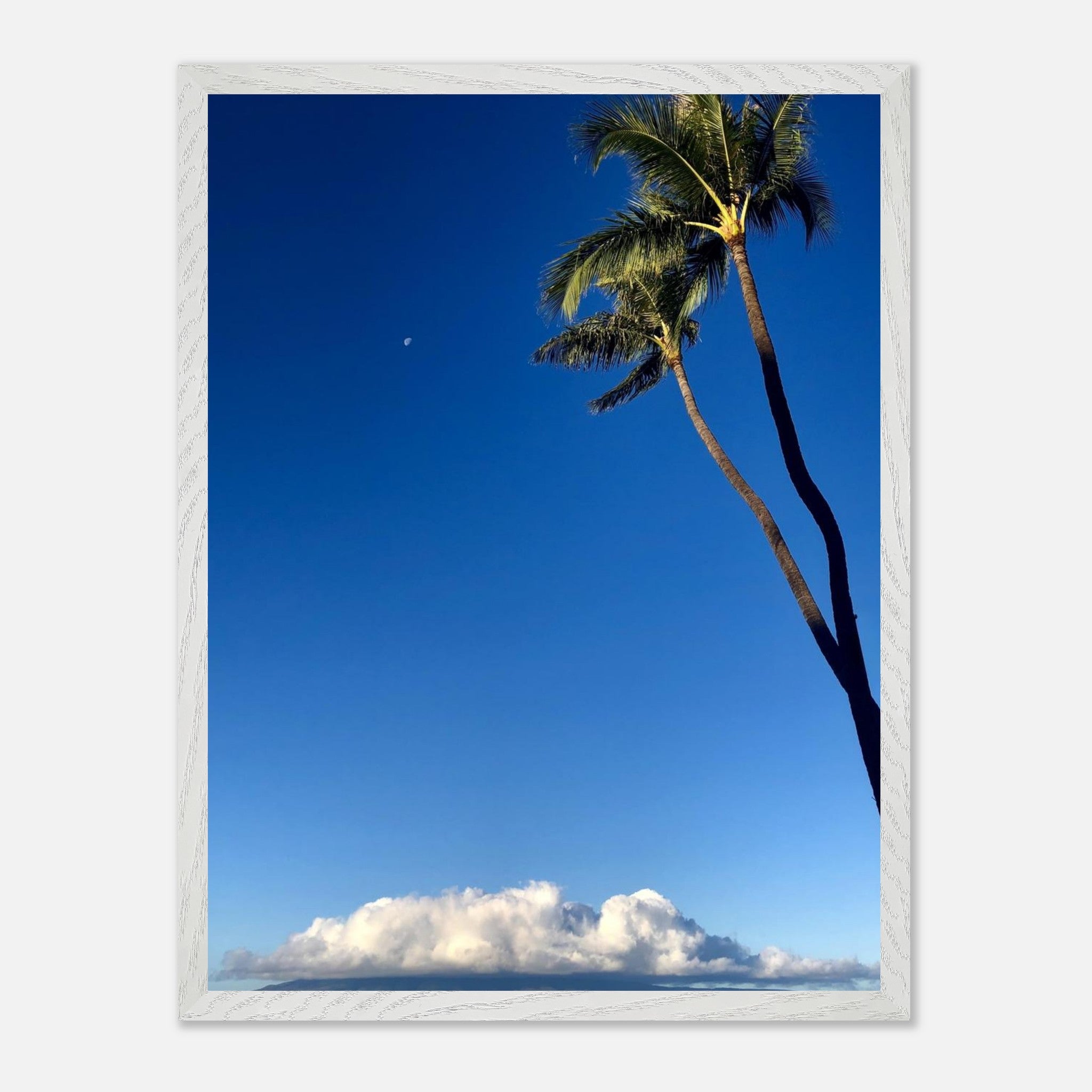 e9bac1be-df5f-4a83-852a-106d2d988c26