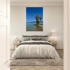 Aluminum print of a majestic tree on a European lake, nature-inspired wall art from the Travel Collection by My Store.