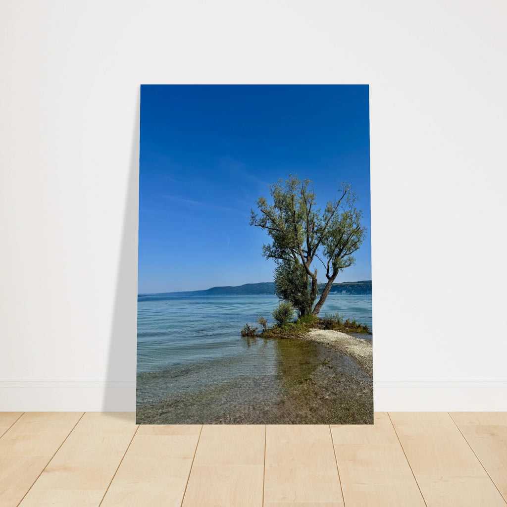Majestic tree on a European lake aluminum print, nature-inspired wall art from the Travel Collection, Studio Edition by My Store.