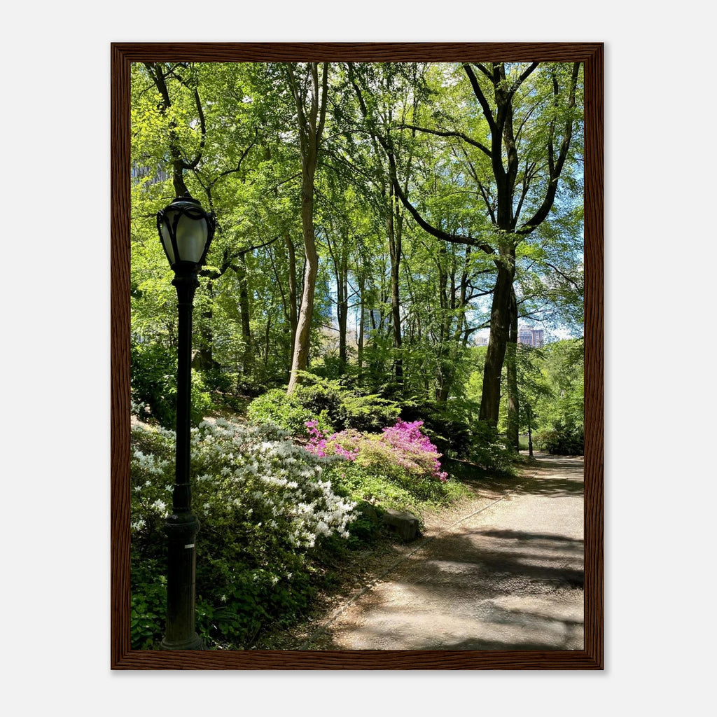 Framed art print of a Central Park walkway scene on premium matte paper, featuring lush trees and a peaceful stroll.