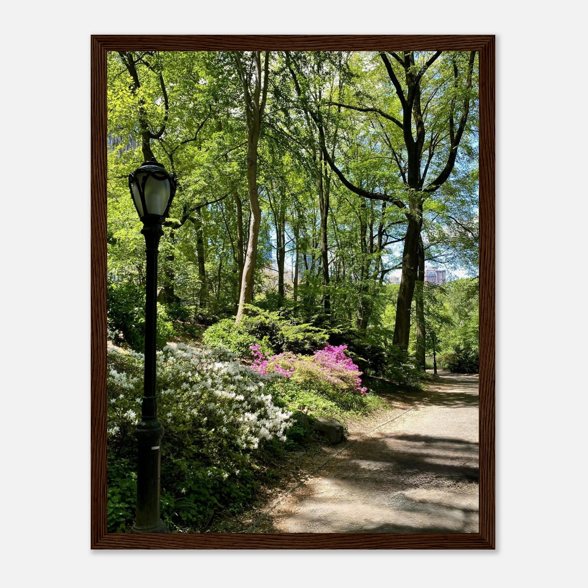 Framed art print of Central Park walkway on premium matte paper, featuring a serene outdoor scene with wooden frame.