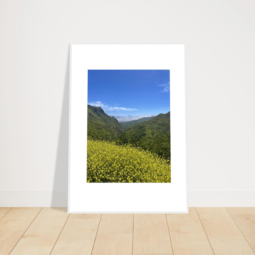 High-quality framed art print of Malibu Canyon in spring bloom wildflowers, California poster art, Studio Edition by My Store.