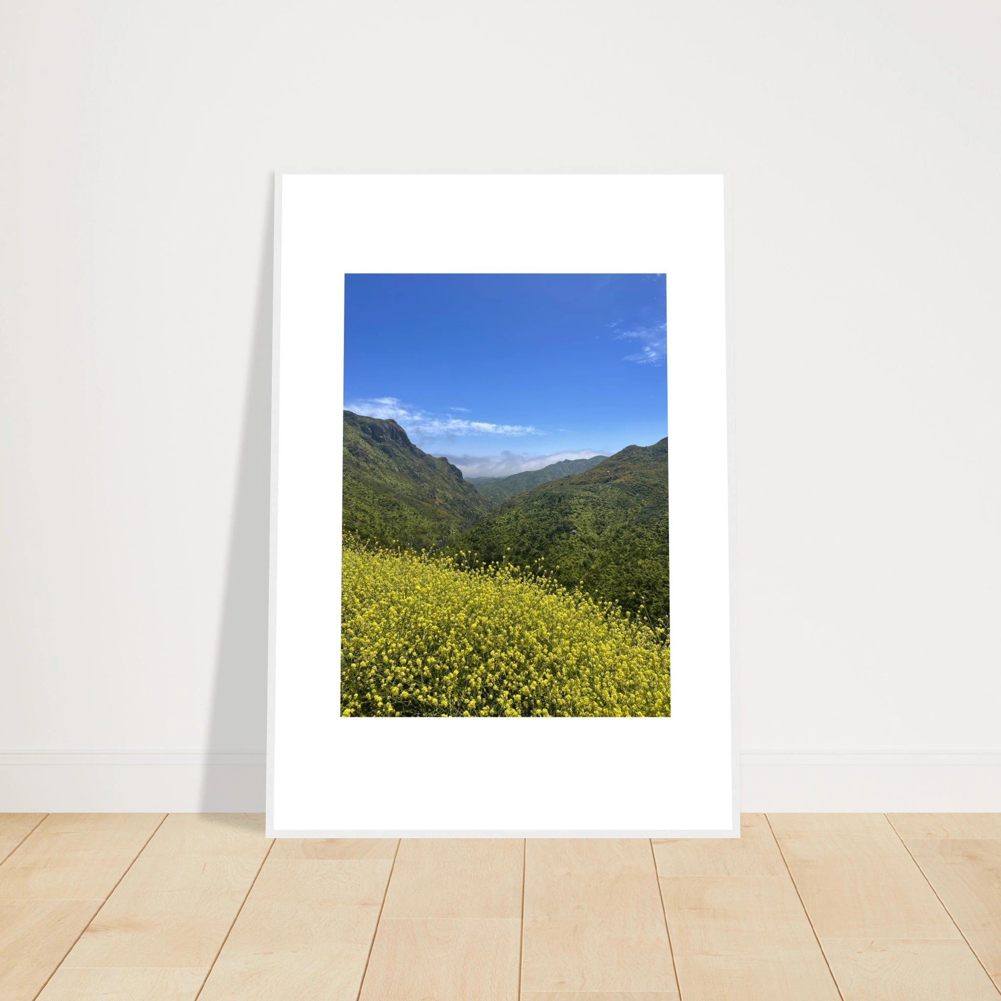 High-quality framed art print of Malibu Canyon in spring bloom wildflowers, California poster art, Studio Edition by My Store.