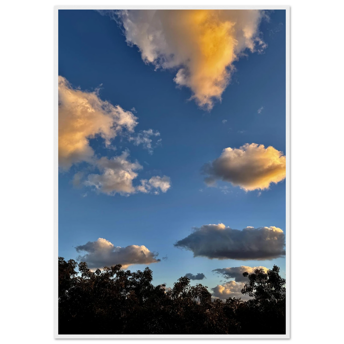 ed632209-bfbe-4452-98c2-1b28089b8686