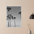 Premium wooden framed black and white California beach icons poster from My Store, featuring semi-glossy print design.