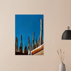 Mexico cactus family on rooftop canvas print, colorful travel artwork from Studio Edition Spring 2026, vibrant and detailed design.