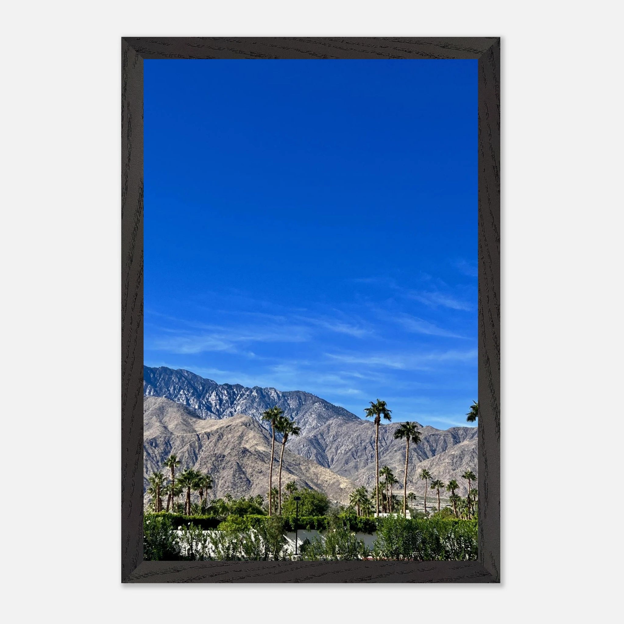 Wooden framed poster of a sunny fall day in Palm Springs, California, featuring vibrant autumn scenery and artistic studio edition print.