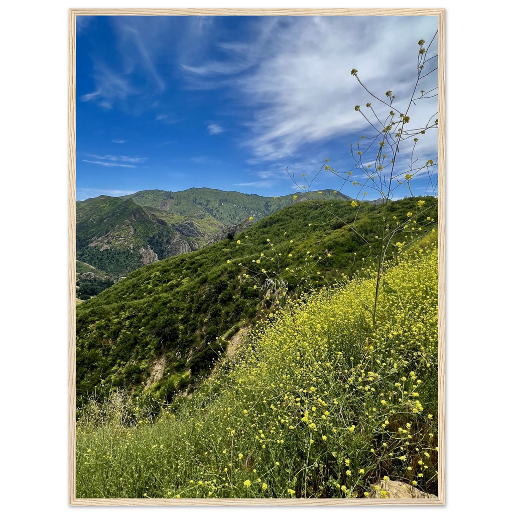 Malibu Canyon Wildflowers wooden framed poster on museum-quality matte paper wall art, California poster art, Studio Edition.