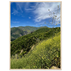 Malibu Canyon Wildflowers wooden framed poster on museum-quality matte paper wall art, California poster art, Studio Edition.