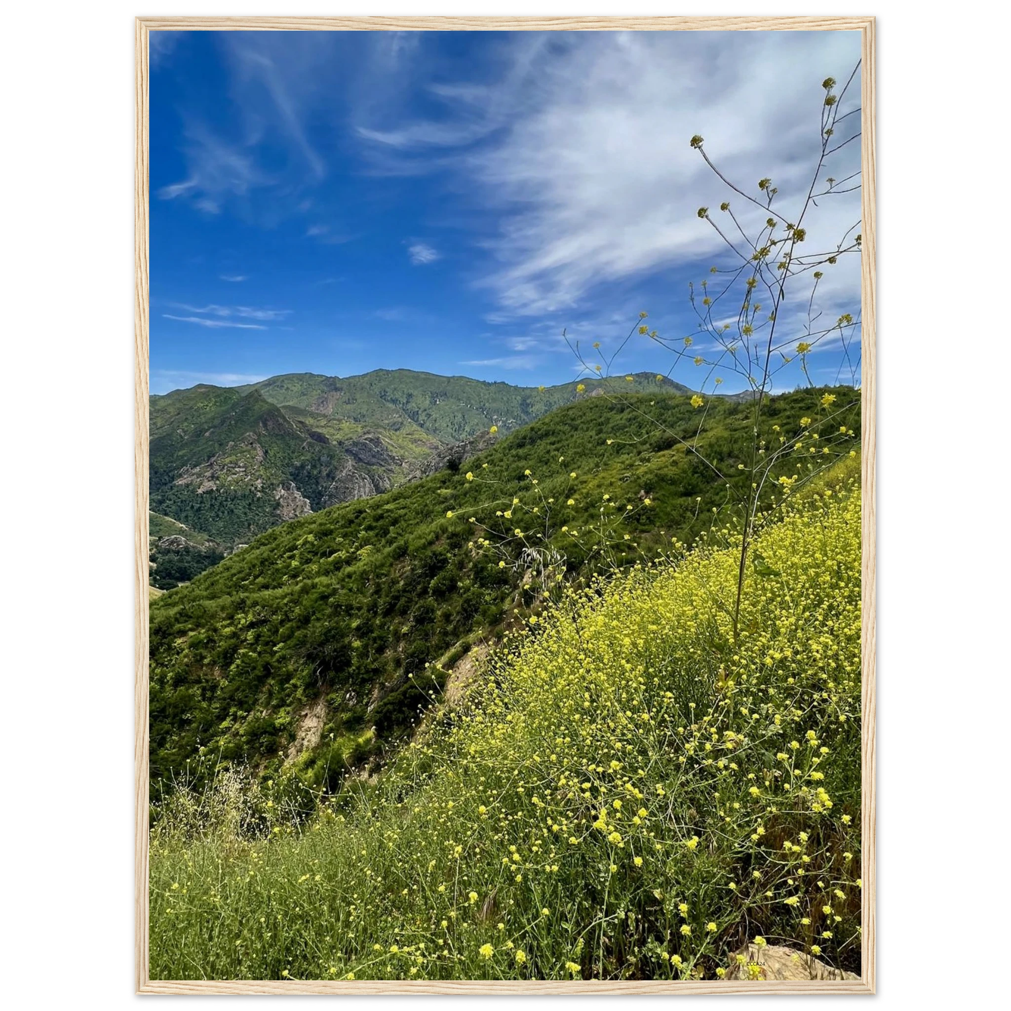 Malibu Canyon Wildflowers wooden framed poster on museum-quality matte paper wall art, California poster art, Studio Edition.