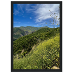 Malibu Canyon Wildflowers wooden framed print by My Store featuring California poster art on museum-quality matte paper wall art.
