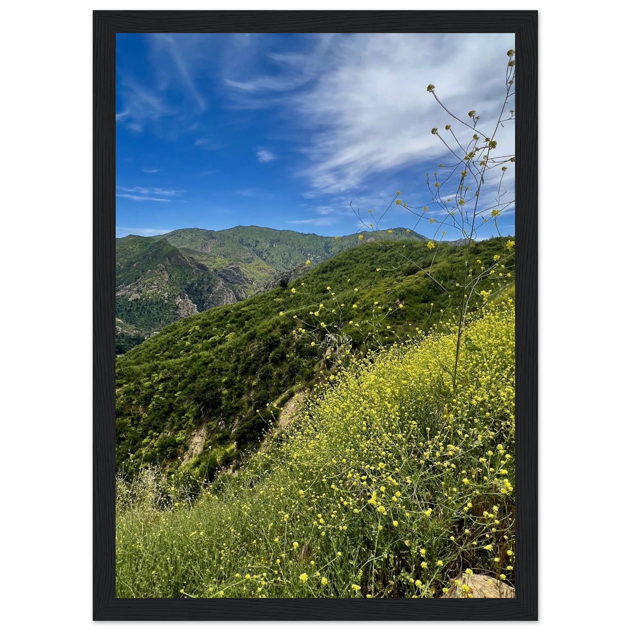 Malibu Canyon Wildflowers wooden framed print by My Store featuring California poster art on museum-quality matte paper wall art.