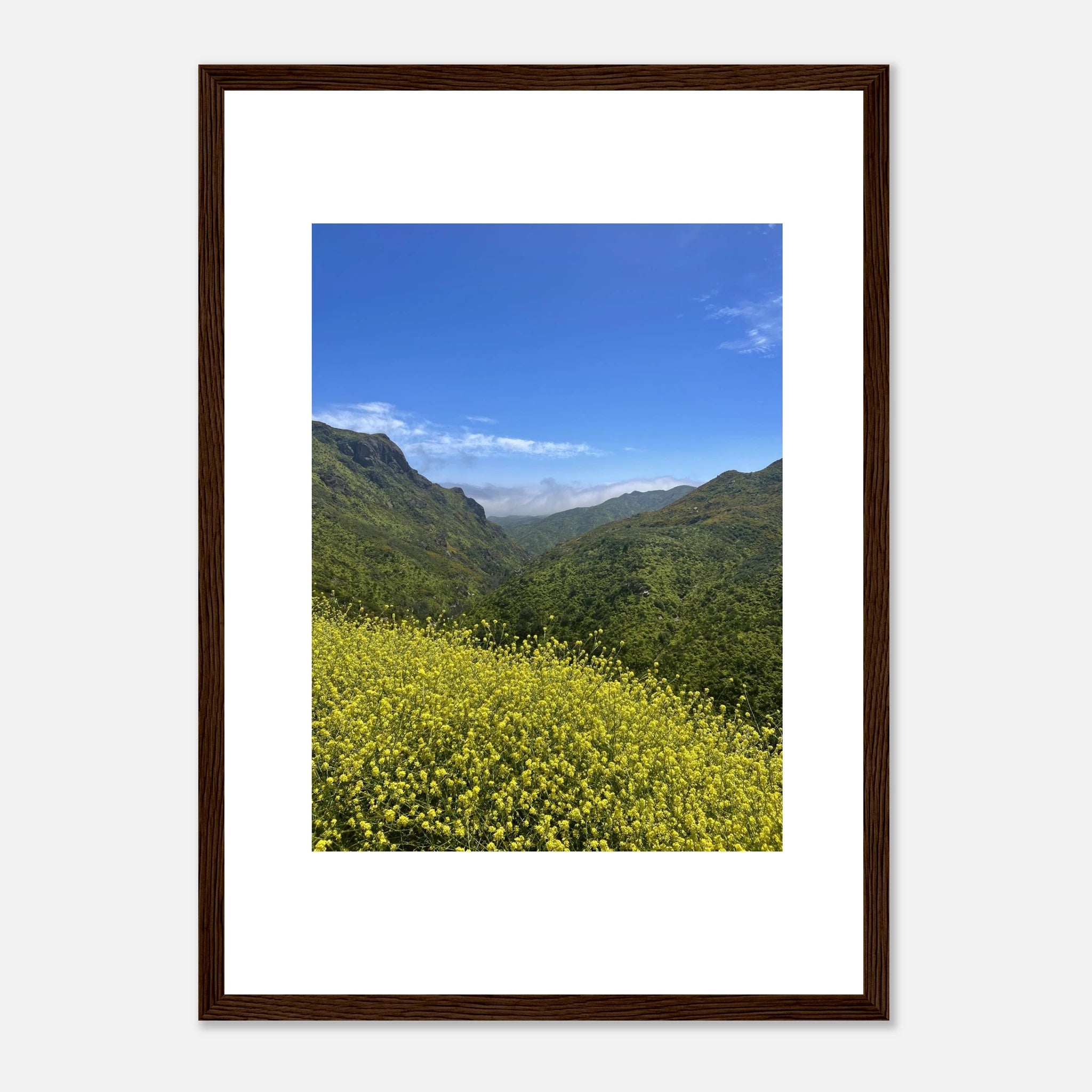 High-quality framed art print of Malibu Canyon in spring bloom wildflowers, featuring vibrant California landscape art.