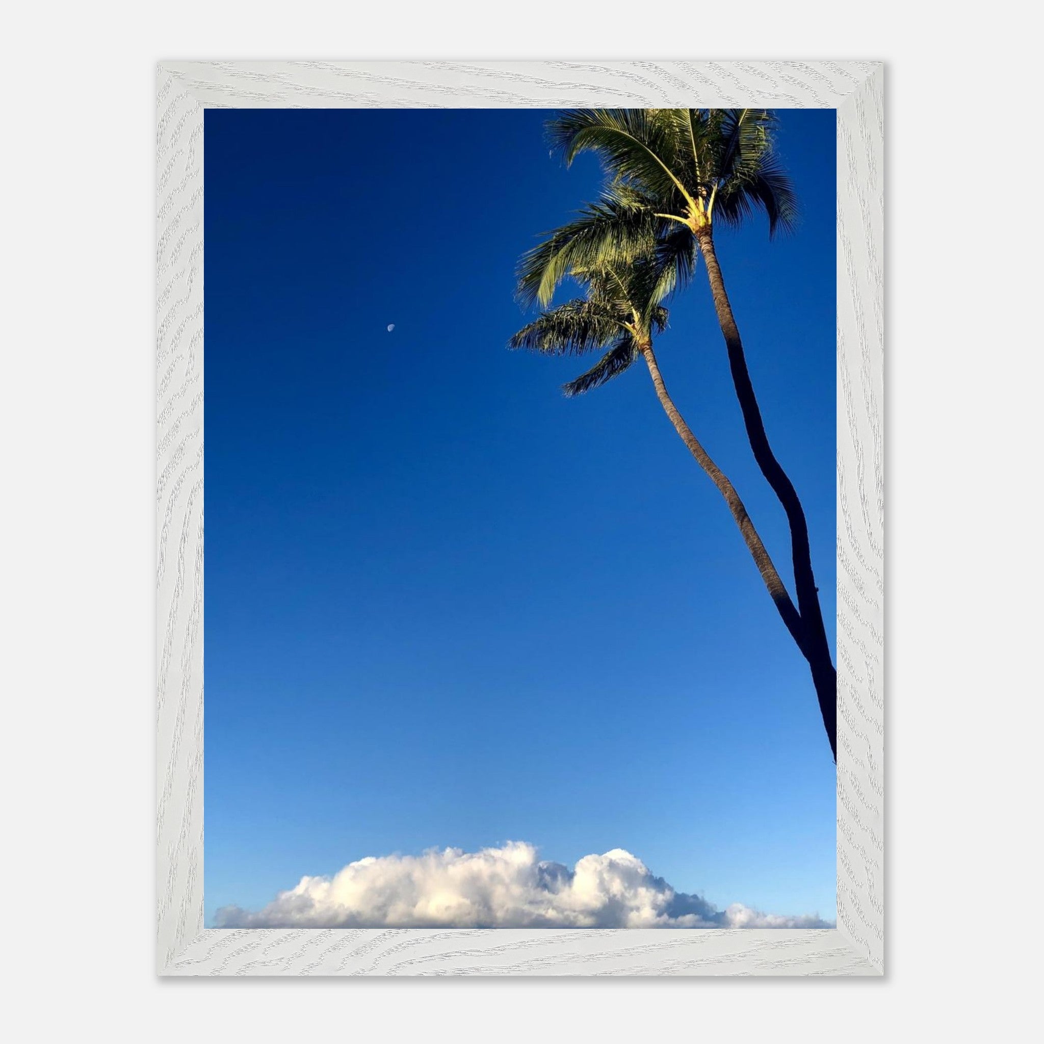 f3aace86-7358-4698-8475-5148ed13b2df