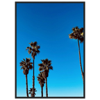 Wooden framed Santa Barbara Palm Tree Magic poster by CaliCuration, California home decor art, semi-glossy studio edition for spring '26.