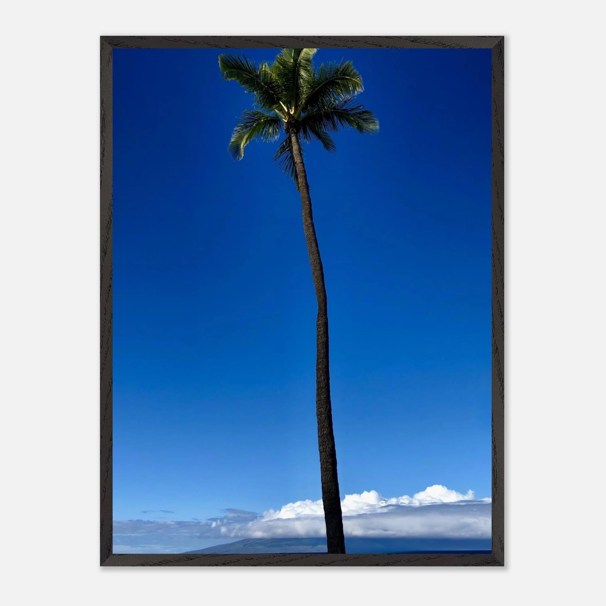 Hawaii Majestic Palm Tree Maui framed print by CaliCuration, featuring tropical scenery from the Travel Collection Spring '26 Hawaii Edition.