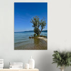 Aluminum print of a majestic tree on a European lake, nature-inspired wall art from the Travel Collection by My Store.