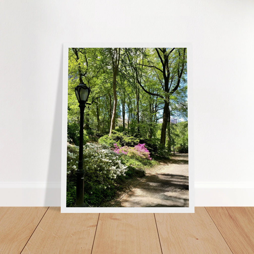 Framed art print of Central Park walkway on premium matte paper with wooden frame, part of the Studio Edition travel collection.