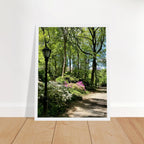 Framed art print of Central Park walkway on premium matte paper with wooden frame, part of the Studio Edition travel collection.