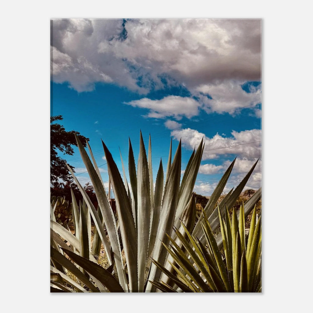 Oaxaca Desert canvas artwork featuring mezcal plantation, part of the Spring' 26 travel collection by My Store.