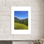 High-quality framed art print of Malibu Canyon in spring bloom wildflowers, California poster art by My Store.