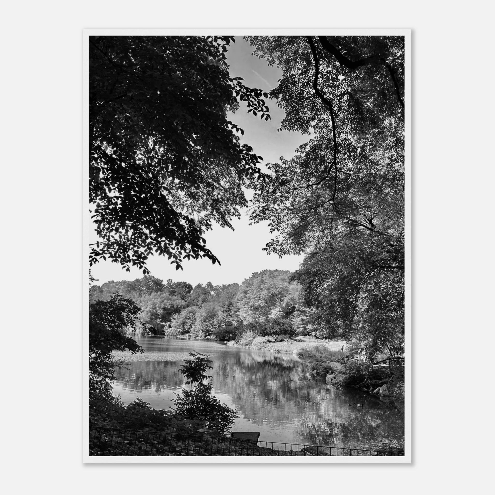 Black and white framed print of a summer lake scene from Upstate NY, part of the My Store Travel Collection Studio Edition.