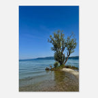 European lake scene with majestic tree aluminum print, nature-inspired wall art from the Travel Collection, studio edition.
