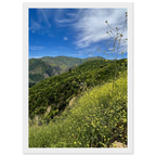 Wooden framed Malibu Canyon Wildflowers wall art print on museum-quality matte paper showcasing California wildflowers.