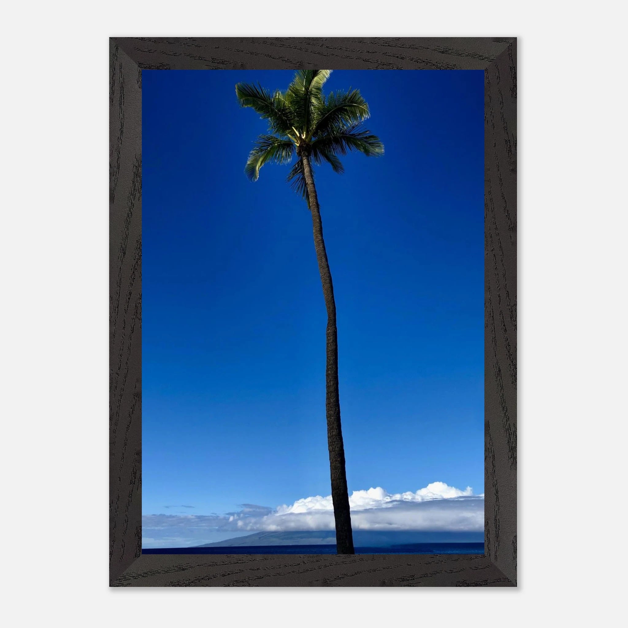 Hawaii Majestic Palm Tree Maui framed print by CaliCuration from the Travel Collection Studio Edition Spring '26, showcasing tropical scenery.