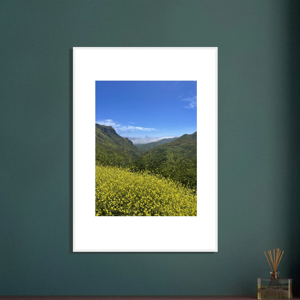 High-quality framed art print of Malibu Canyon in spring bloom wildflowers, featuring vibrant California landscape artwork.
