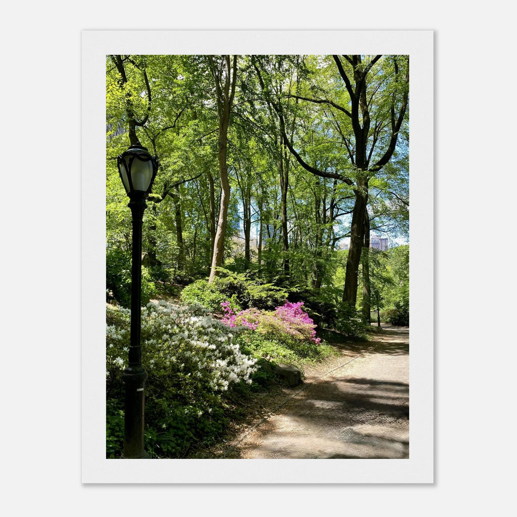 Framed art print of Central Park walkway on premium matte paper, featuring a serene urban park scene in a wooden frame.