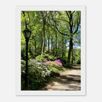 Framed art print of Central Park walkway on premium matte paper, featuring a serene urban park scene in a wooden frame.