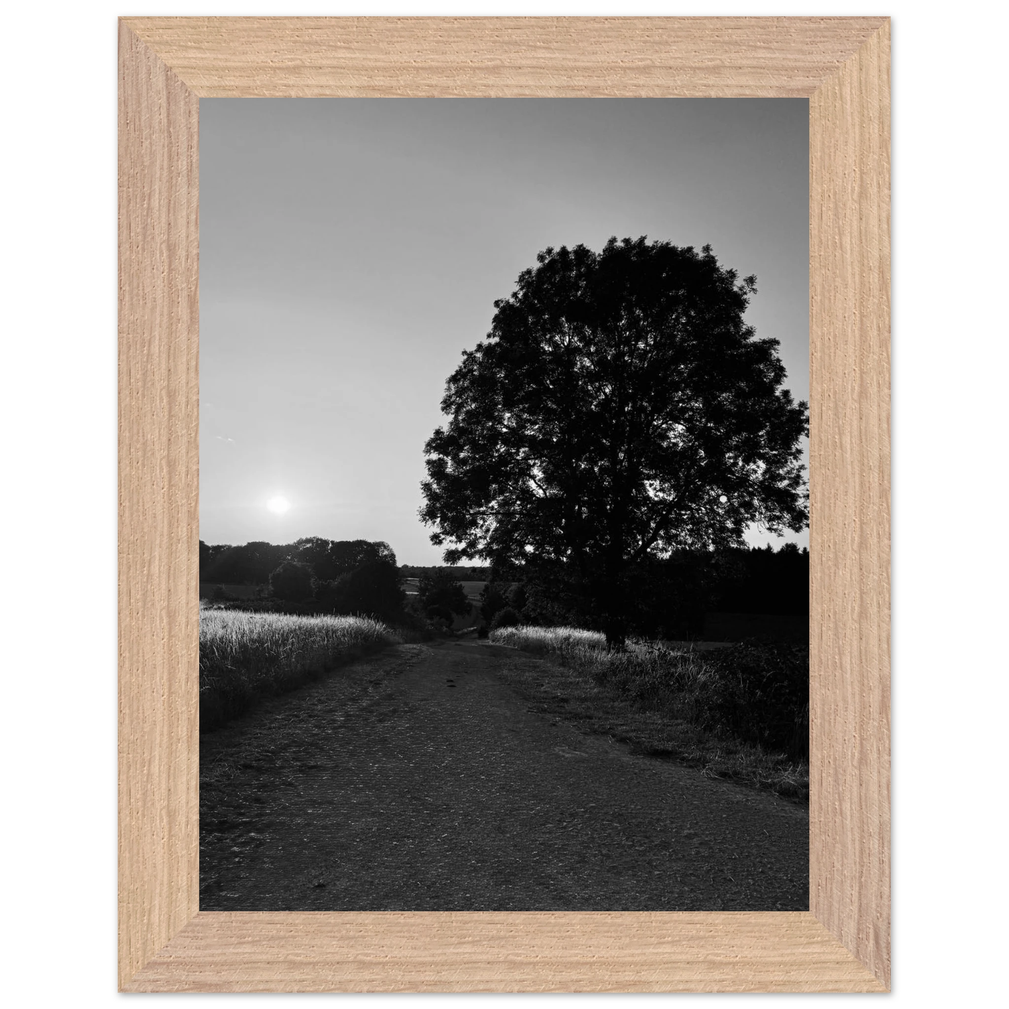 Black and white mounted wooden framed poster of summer in the English Cotswolds, part of the Studio Edition travel collection.