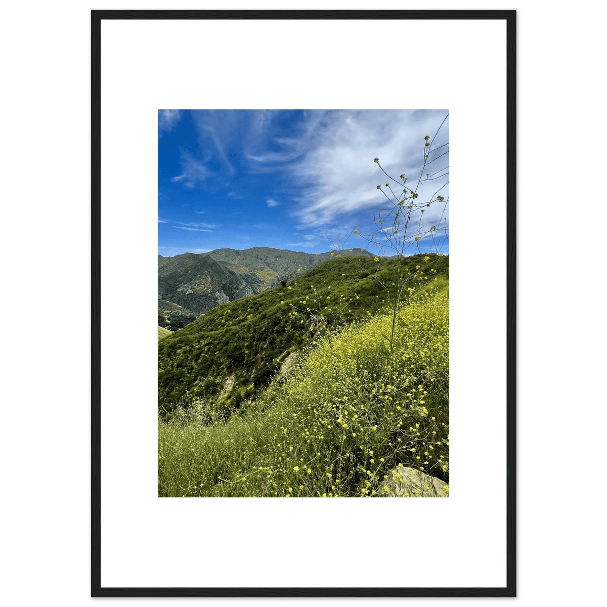 Framed Poster - Magical Malibu Canyon in Spring Bloom Wildflowers II – High - Quality Art Print - CaliCuration