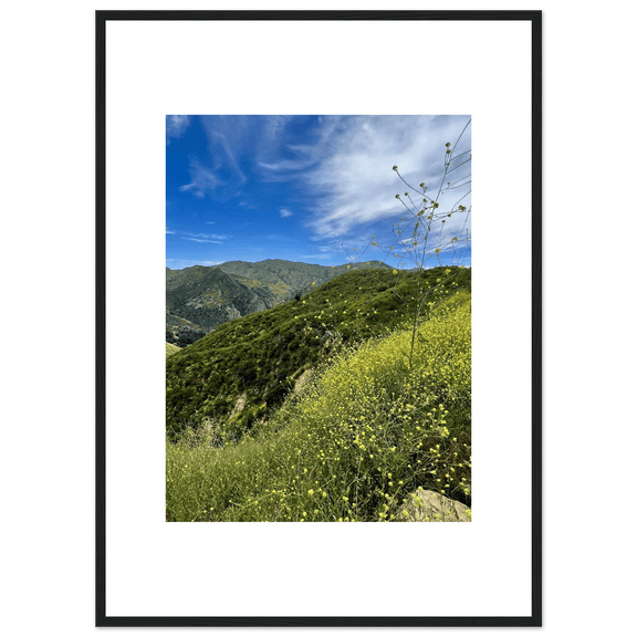 Framed Poster - Magical Malibu Canyon in Spring Bloom Wildflowers II – High - Quality Art Print - CaliCuration