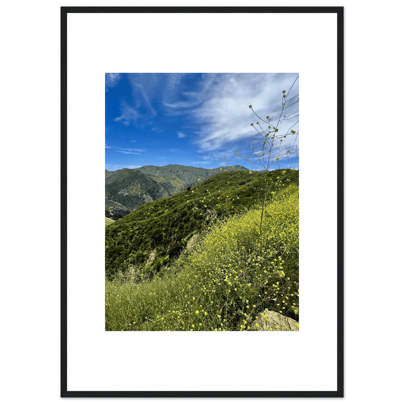 Framed Poster - Magical Malibu Canyon in Spring Bloom Wildflowers II – High - Quality Art Print - CaliCuration