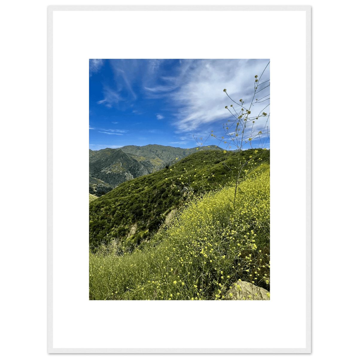 Framed Poster - Magical Malibu Canyon in Spring Bloom Wildflowers II – High - Quality Art Print - CaliCuration