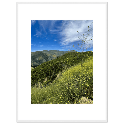 Framed Poster - Magical Malibu Canyon in Spring Bloom Wildflowers II – High - Quality Art Print - CaliCuration
