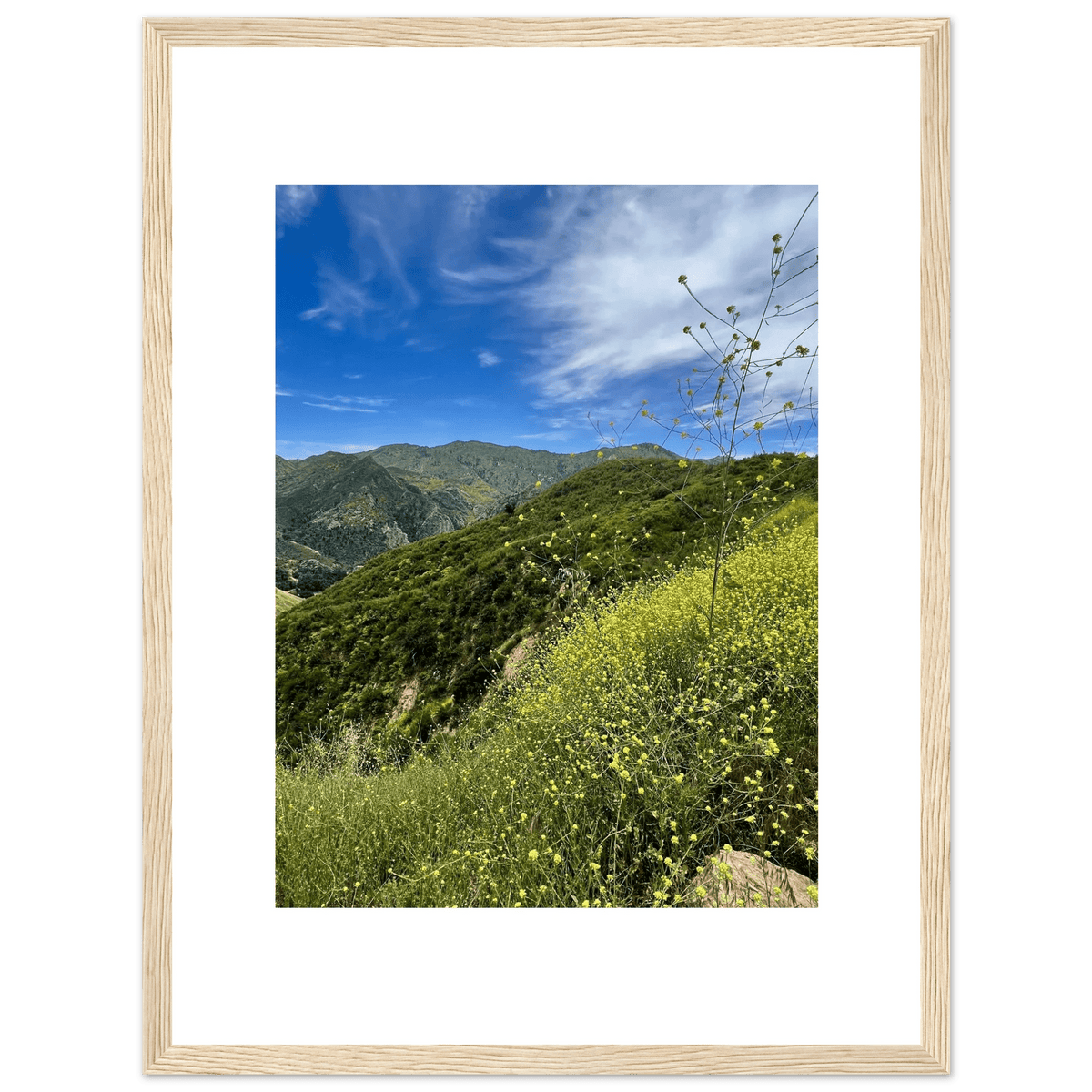 Framed Poster - Magical Malibu Canyon in Spring Bloom Wildflowers II – High - Quality Art Print - CaliCuration