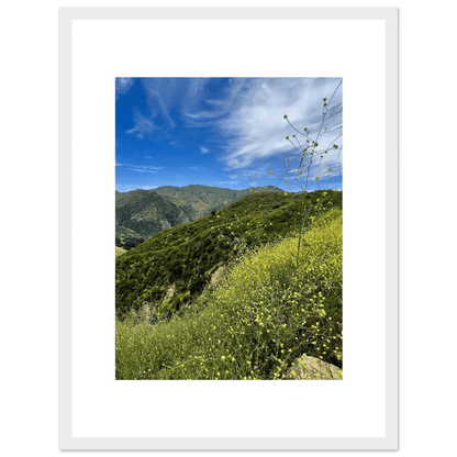 Framed Poster - Magical Malibu Canyon in Spring Bloom Wildflowers II – High - Quality Art Print - CaliCuration