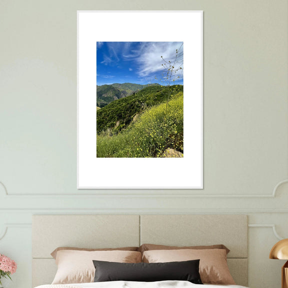 Framed Poster - Magical Malibu Canyon in Spring Bloom Wildflowers II – High - Quality Art Print - CaliCuration