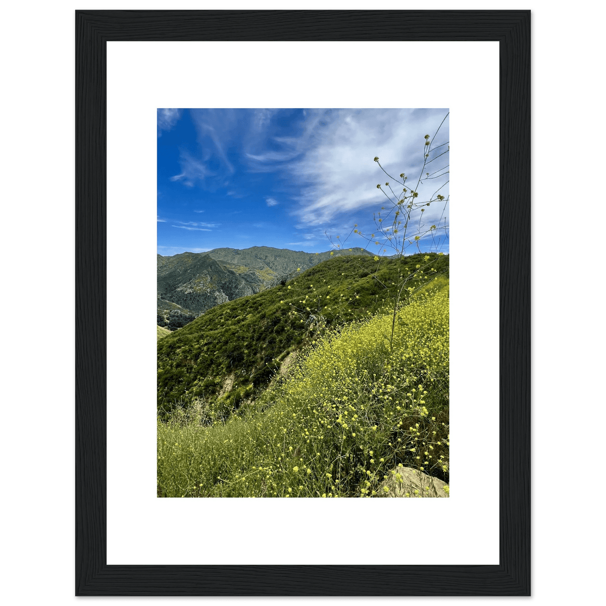 Framed Poster - Magical Malibu Canyon in Spring Bloom Wildflowers II – High - Quality Art Print - CaliCuration