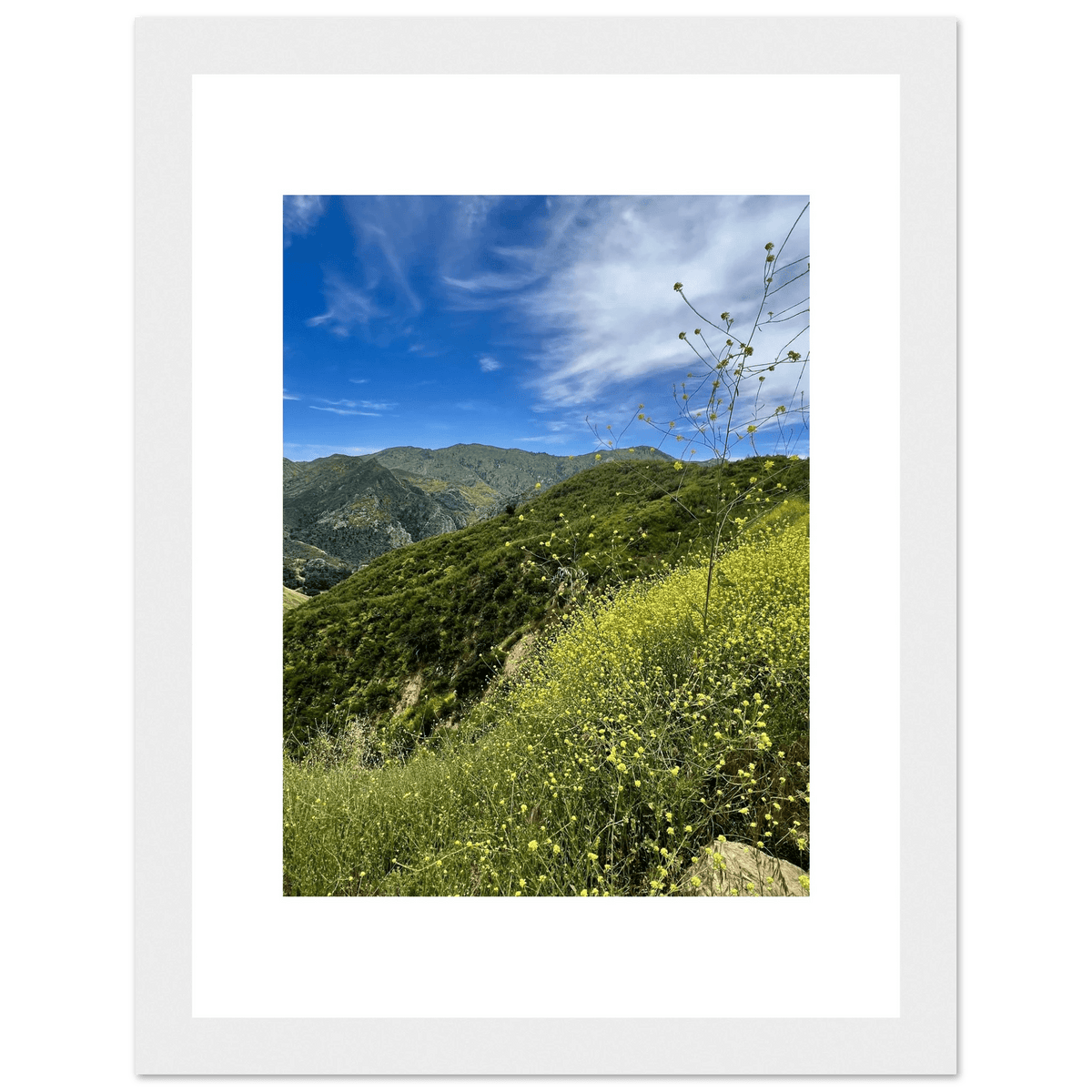 Framed Poster - Magical Malibu Canyon in Spring Bloom Wildflowers II – High - Quality Art Print - CaliCuration