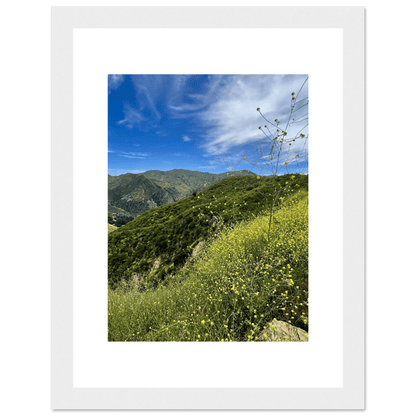 Framed Poster - Magical Malibu Canyon in Spring Bloom Wildflowers II – High - Quality Art Print - CaliCuration