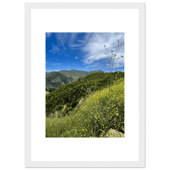 Framed Poster - Magical Malibu Canyon in Spring Bloom Wildflowers II – High - Quality Art Print - CaliCuration